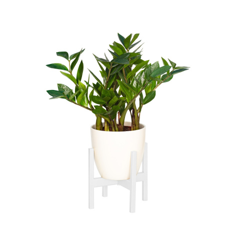 Подставка для цветов Oxalis 20, белая фото 6