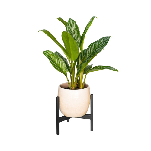 Подставка для цветов Trinity 25, черная фото 7