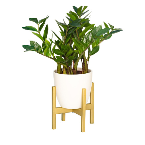 Подставка для цветов Oxalis 20, золотая фото 7