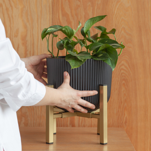 Подставка для цветов OXALIS SMART 20, регулируемая под кашпо, золотая фото 4