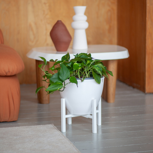 Подставка для цветов OXALIS SMART 20, регулируемая под кашпо, белая фото 2