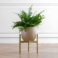 Подставка для цветов Trinity 25, золотая