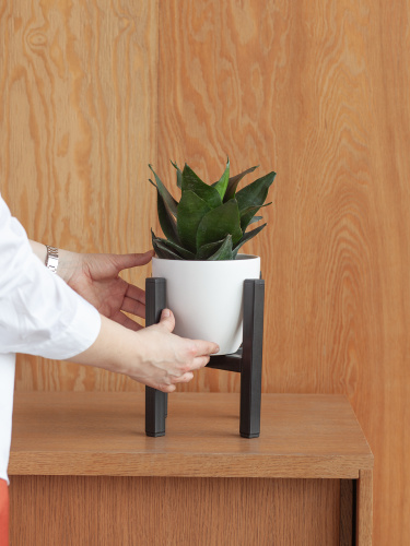 Подставка для цветов OXALIS SMART 20, регулируемая под кашпо, черная фото 3