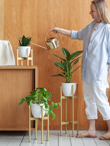 Подставка для цветов Oxalis 20, золотая фото 3