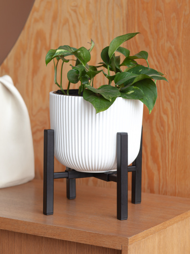 Подставка для цветов OXALIS SMART 20, регулируемая под кашпо, черная фото 2