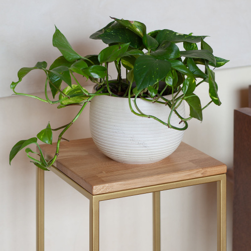 Столик для цветов TORI 60, золотой фото 4