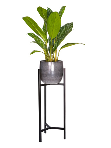 Подставка для цветов Trinity 60, черная фото 9