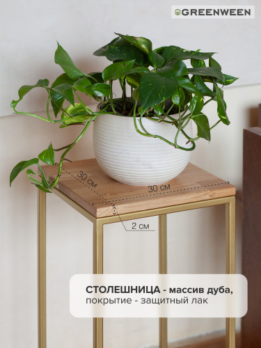 Столик для цветов TORI 60, золотой фото 7