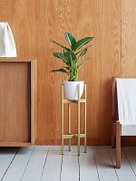 Подставка для цветов OXALIS 60, золотая, 23*23*61