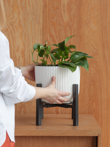 Подставка для цветов OXALIS SMART 20, регулируемая под кашпо, черная фото 4