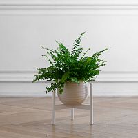 Подставка для цветов Trinity 25, белая