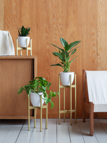 Подставка для цветов Oxalis 20, золотая фото 2