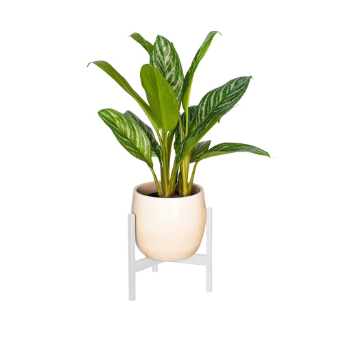 Подставка для цветов Trinity 25, белая фото 9