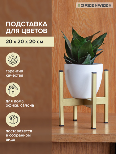 Подставка для цветов Oxalis 20, золотая фото 4