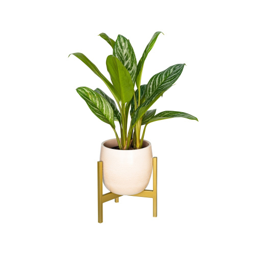 Подставка для цветов Trinity 25, золотая фото 5